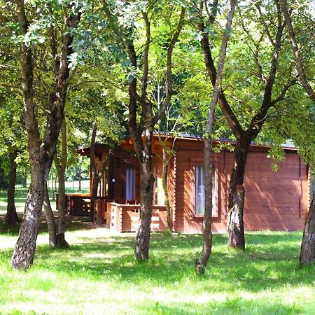 Kaunas Camp Inn Dış mekan fotoğraf